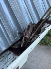 Load image into Gallery viewer, XPRT Gutter Tongs - Stainless Steel Gutter and Downpipe Cleaning Tool